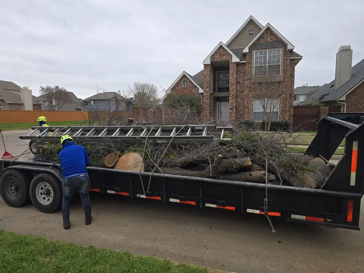 Expert Lot Clearing with proper safety equipment in Hatton